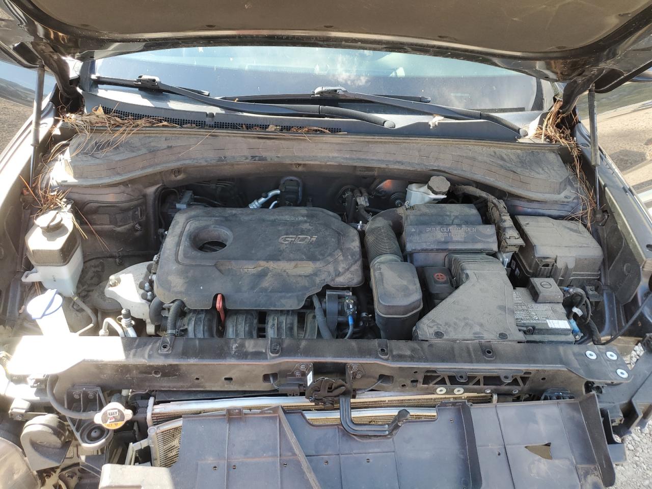 2020 Hyundai Santa Fe Sel VIN: 5NMS33AD8LH219652 Lot: 81762725