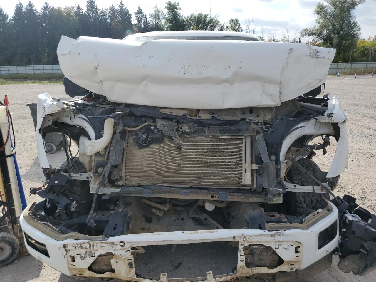 2024 Ford F150 Xlt VIN: 1FTFW3L52RKD26630 Lot: 81411025