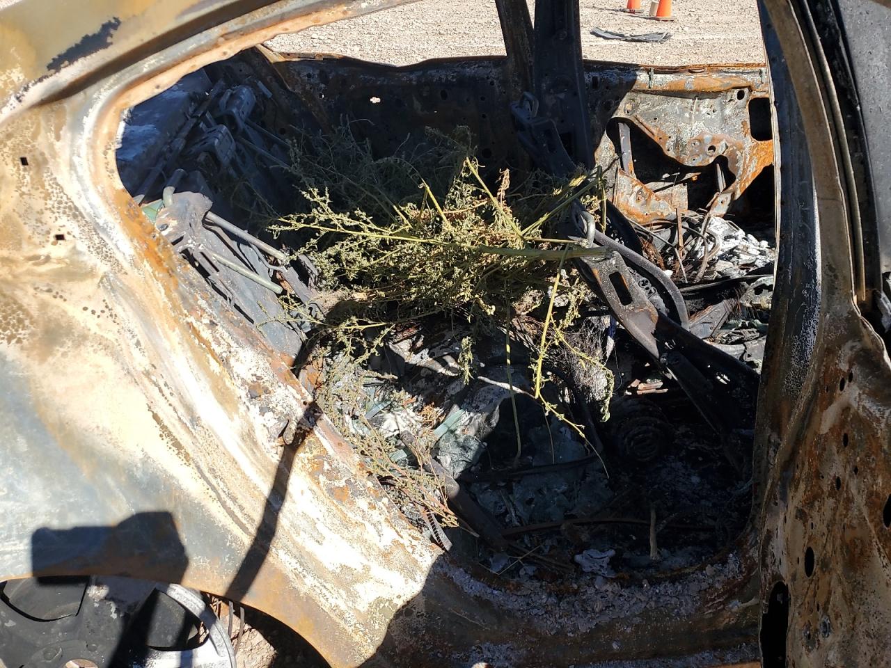 2014 Chevrolet Cruze Lt VIN: 1G1PC5SB1E7475424 Lot: 83841685