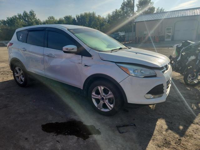  FORD ESCAPE 2016 Белы