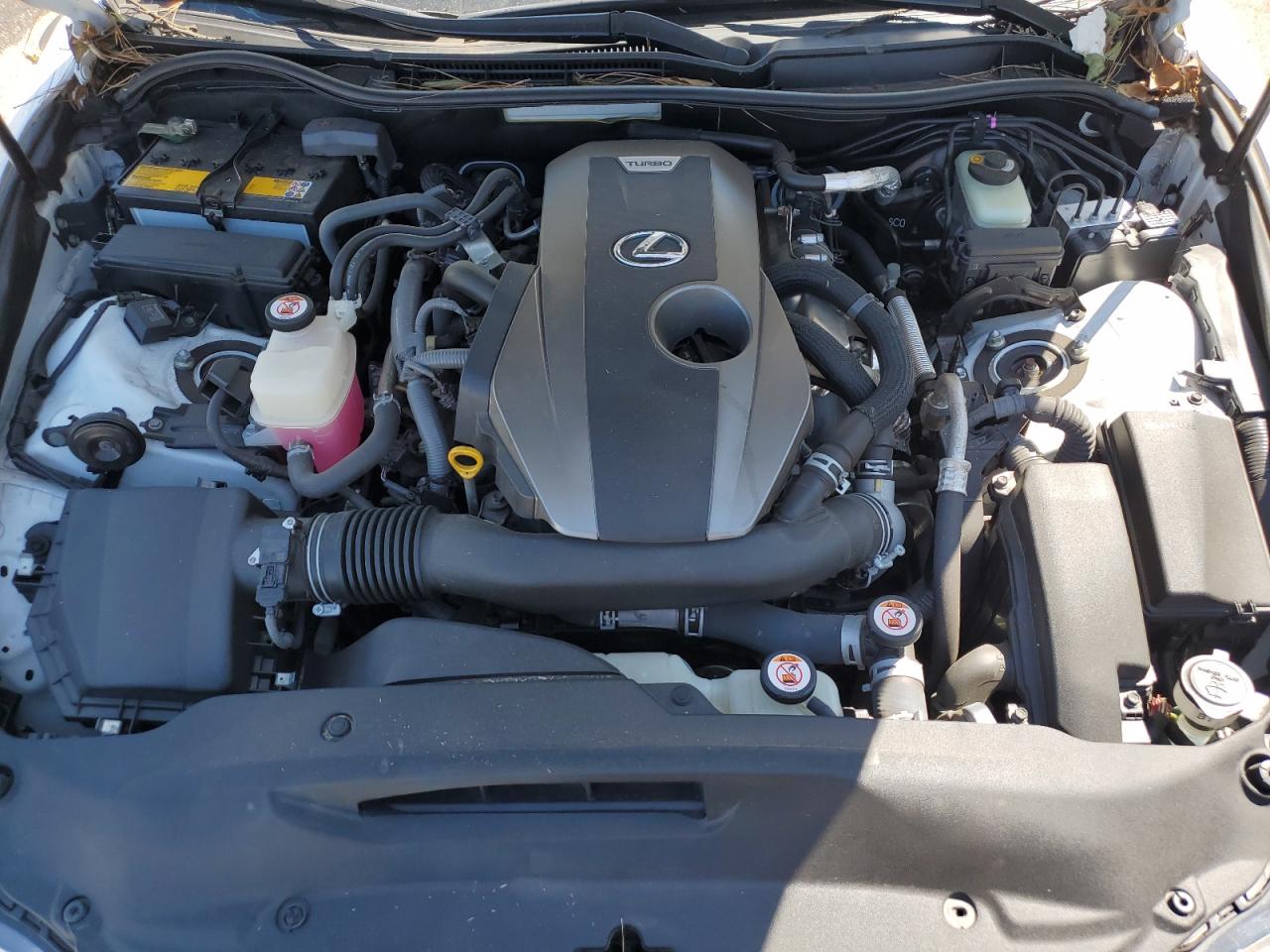 2019 Lexus Is 300 VIN: JTHBA1D23K5087758 Lot: 80085545