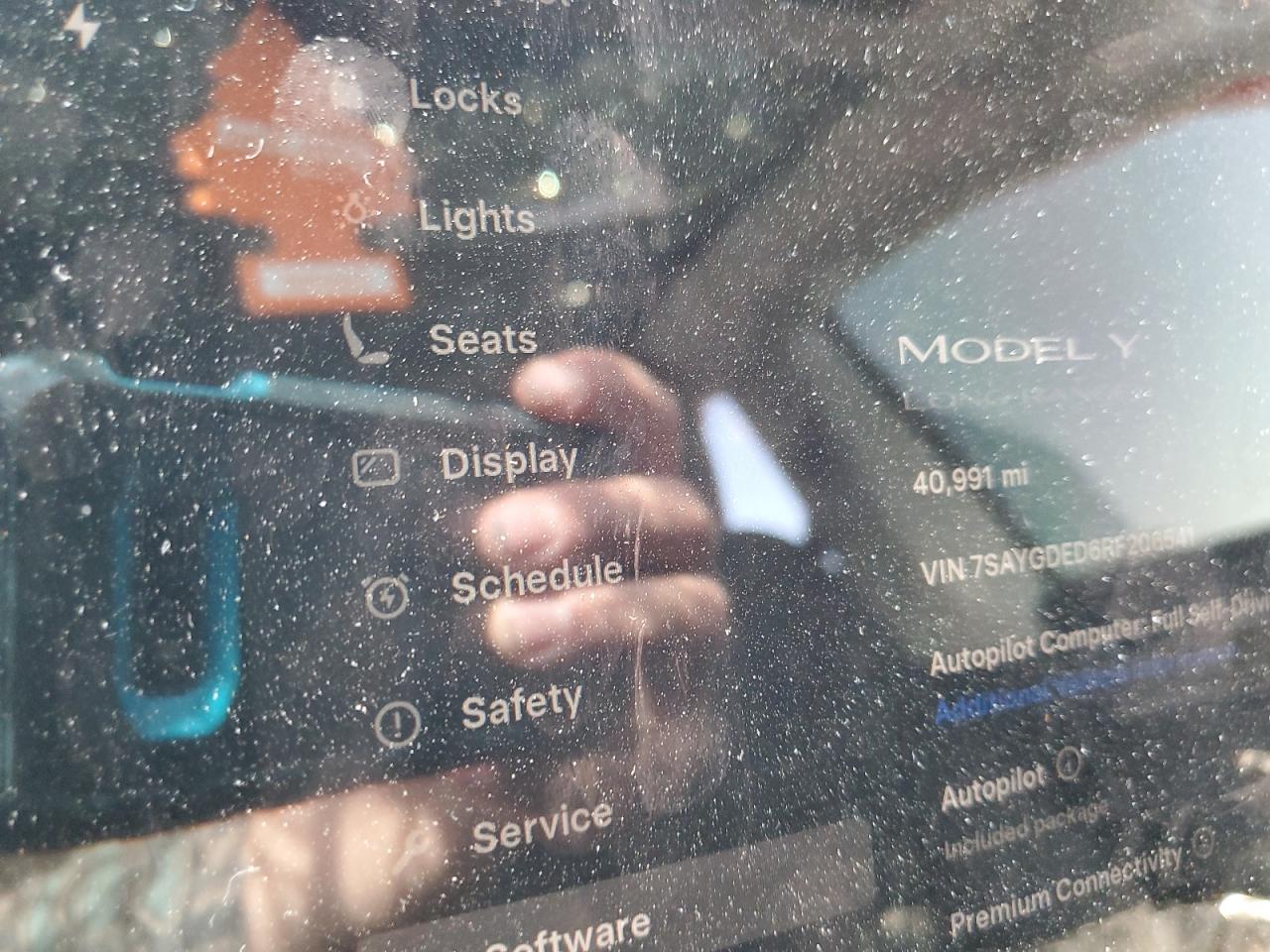 2024 Tesla Model Y VIN: 7SAYGDED6RF206541 Lot: 81378765