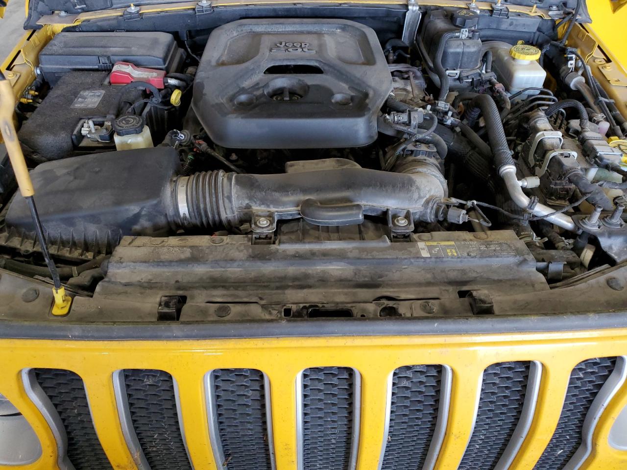 2019 Jeep Wrangler Unlimited Sahara VIN: 1C4HJXEN0KW625558 Lot: 81084865