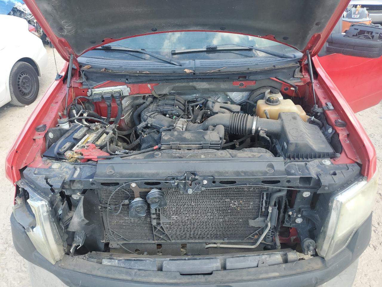 2012 Ford F150 VIN: 1FTMF1CM1CKD99269 Lot: 70623545