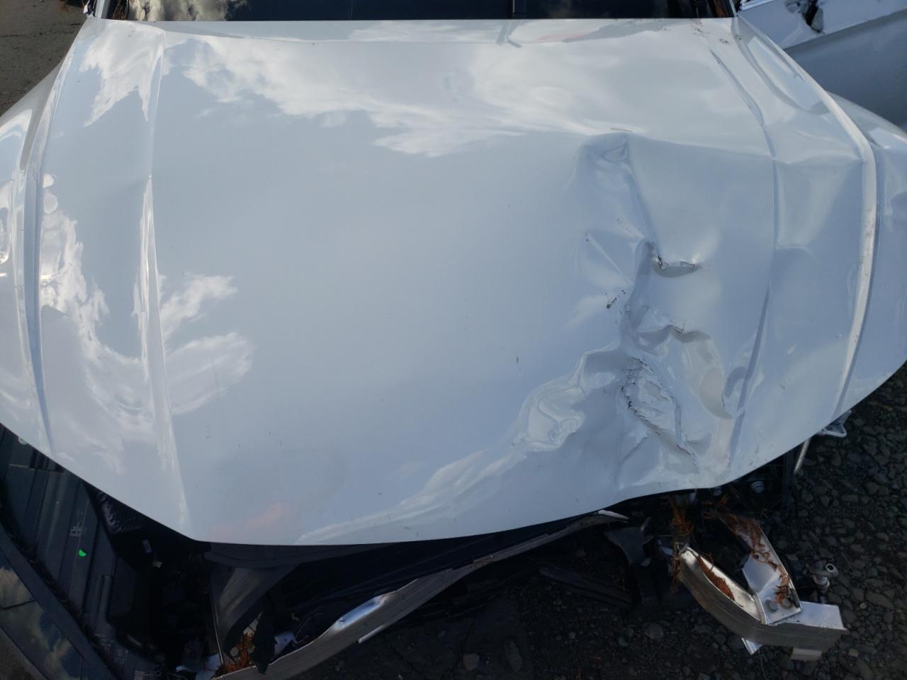 2023 Audi Q5 Premium 45 VIN: WA1GAAFY0P2177879 Lot: 81389955