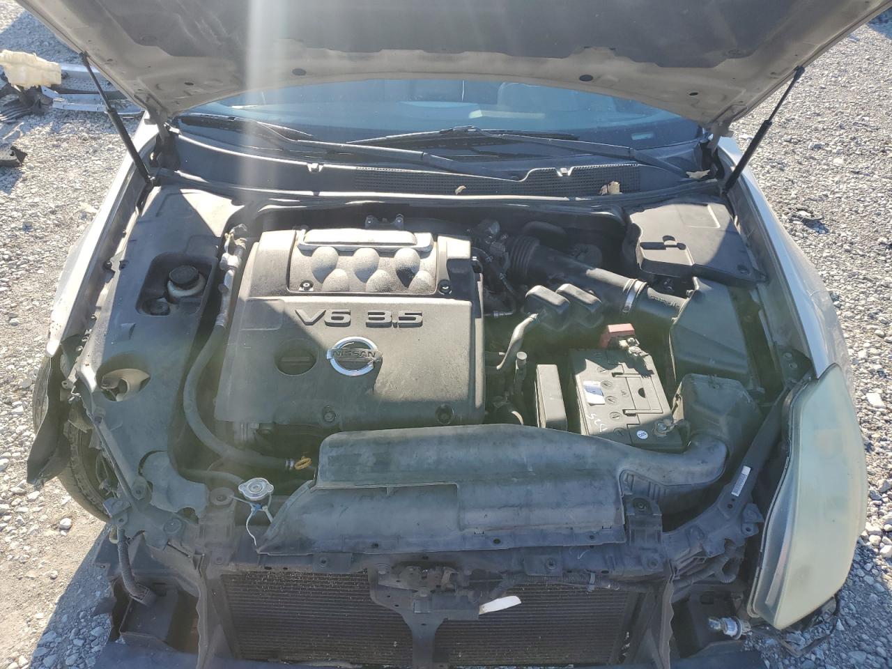 2006 Nissan Maxima Se VIN: 1N4BA41E96C808156 Lot: 81904155