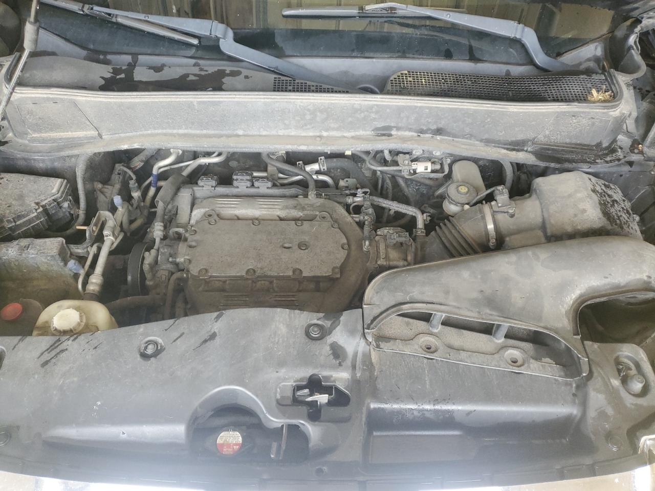 2015 Honda Pilot Se VIN: 5FNYF3H37FB005191 Lot: 70556615