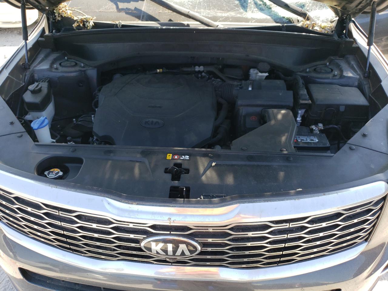 2021 Kia Telluride Sx VIN: 5XYP5DHC5MG128675 Lot: 81132785