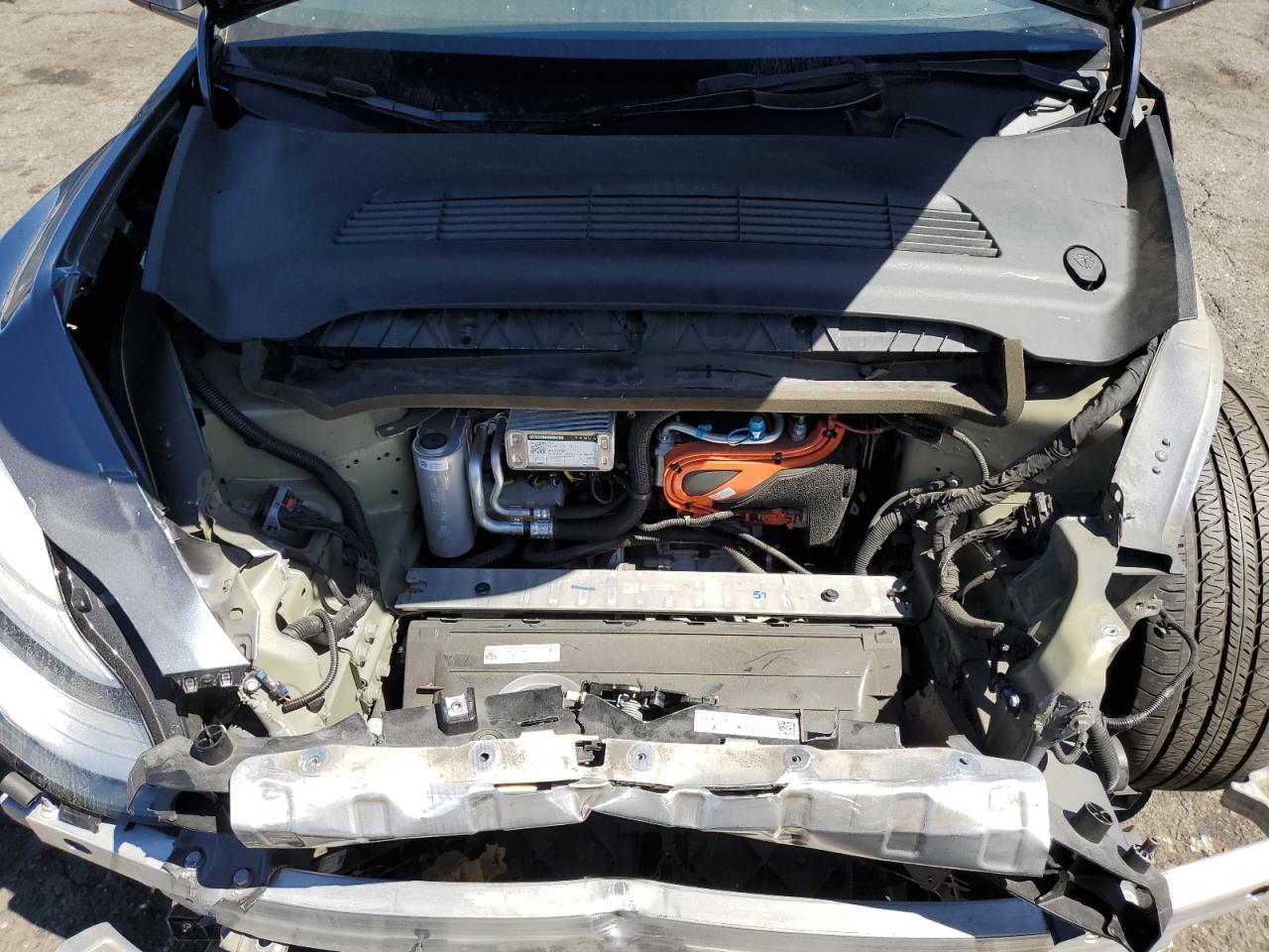 2023 Tesla Model Y VIN: 7SAYGDEE5PA053010 Lot: 70861565