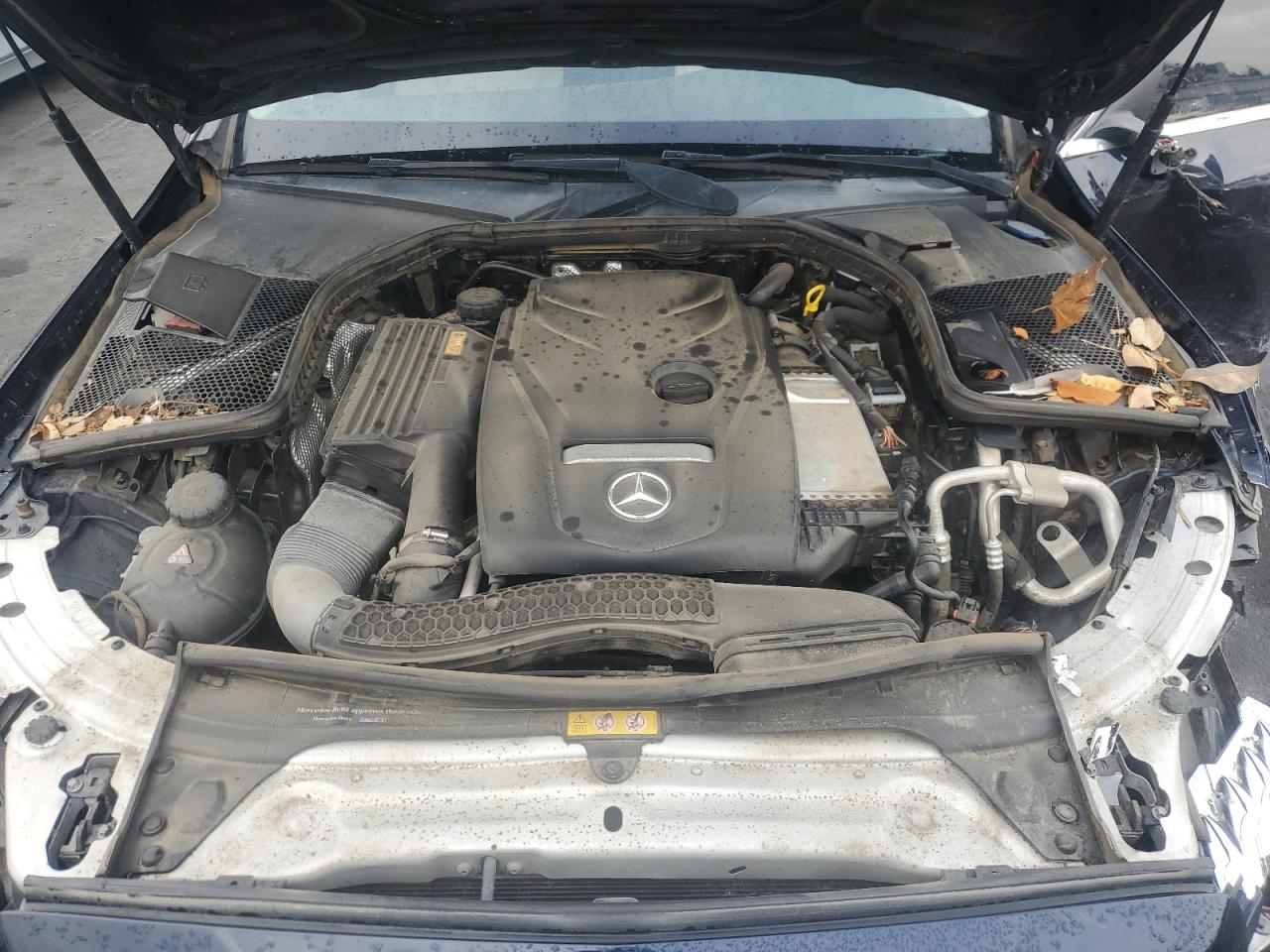 2017 Mercedes-Benz C 300 VIN: 55SWF4JB1HU180603 Lot: 81889565