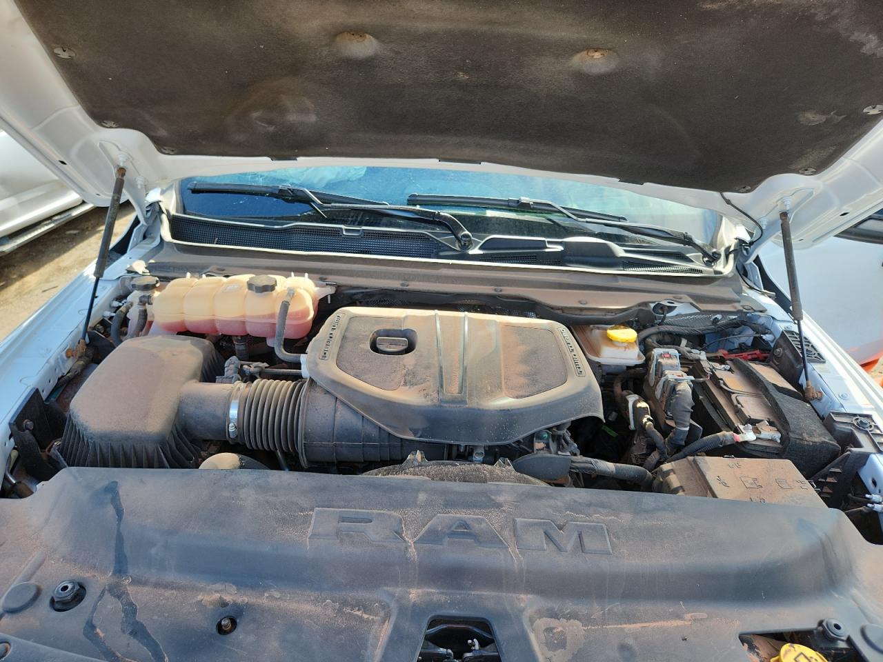 2025 Ram 1500 Rebel VIN: 1C6SRFLP7SN683791 Lot: 81228765