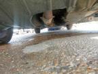 2005 MITSUBISHI LANCER SPORT  for sale at Copart SANDWICH