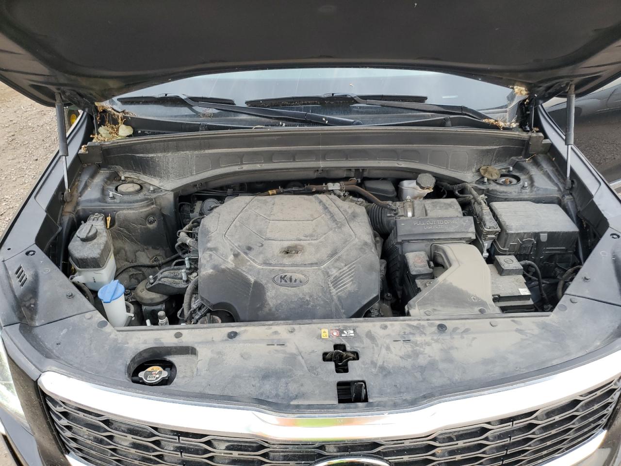 2020 Kia Telluride Ex VIN: 5XYP34HC5LG019007 Lot: 71369565