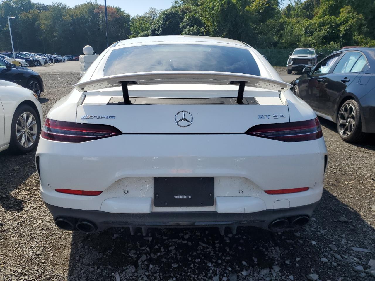 2019 Mercedes-Benz Amg Gt 53 VIN: WDD7X6BB3KA008544 Lot: 80351345