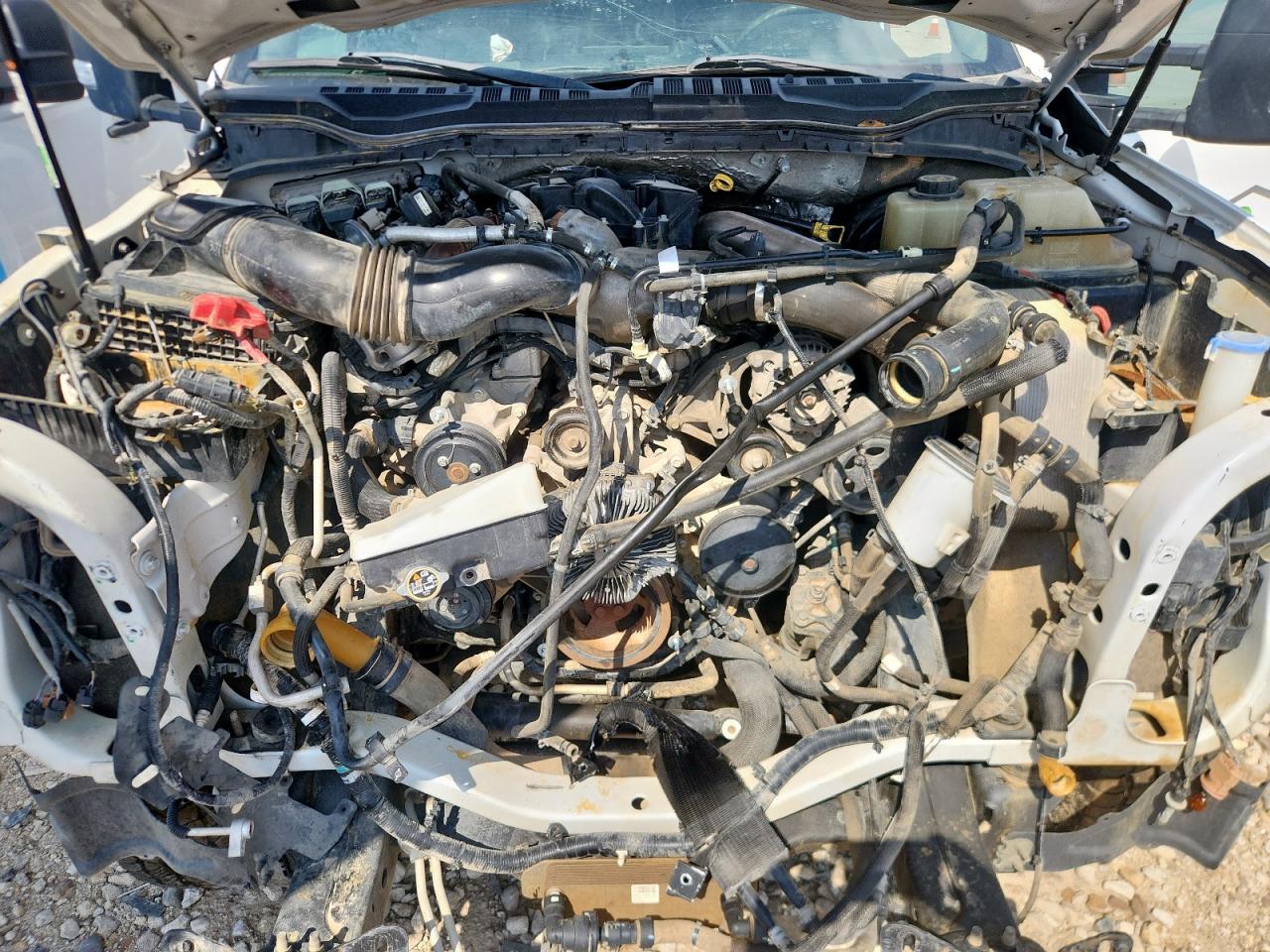 2019 Ford Super Duty F-350 W/S VIN: 1FT8W3BTXKED19230 Lot: 84266235