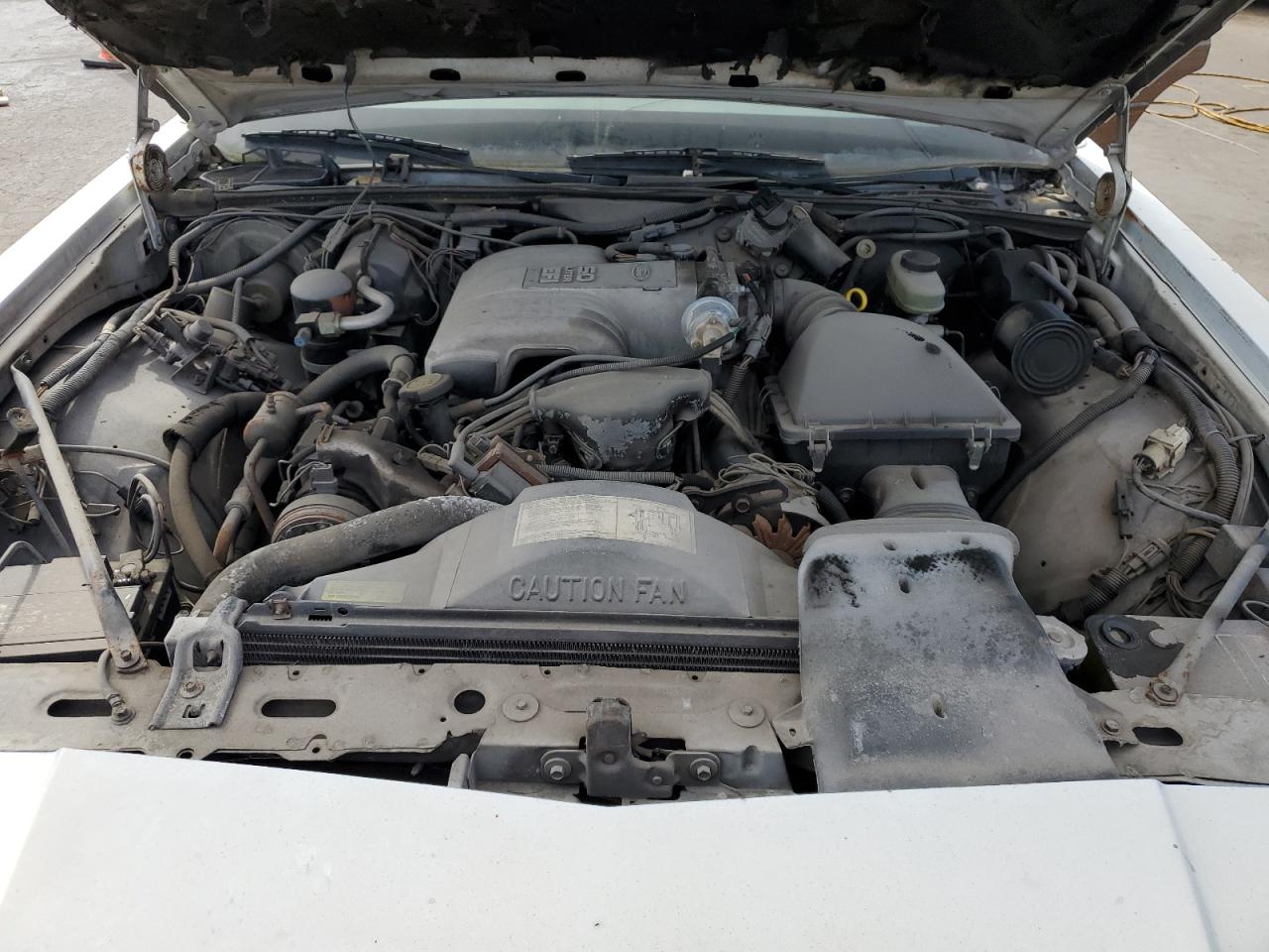 1988 Mercury Marquis Colony Park Ls VIN: 2MEBM79F3JX609484 Lot: 84738205