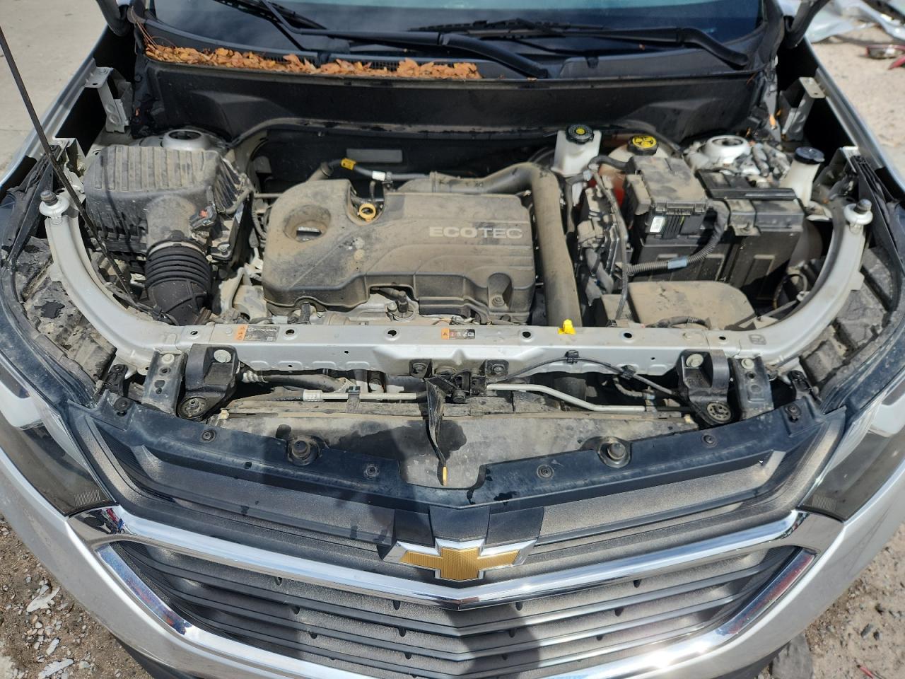 2019 Chevrolet Equinox Lt VIN: 2GNAXUEV8K6273913 Lot: 81425055