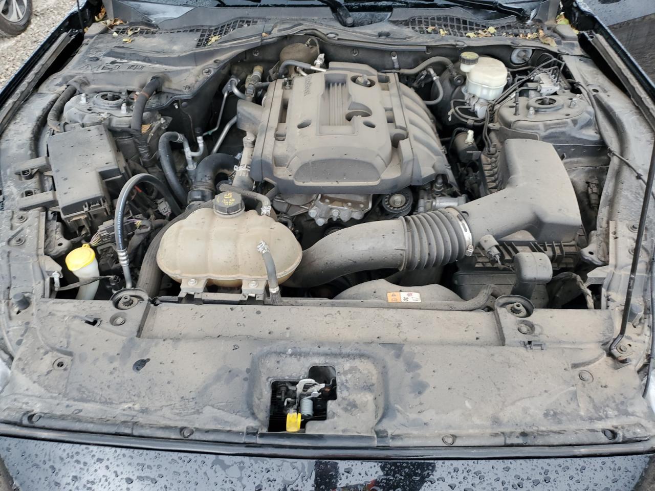 2016 Ford Mustang VIN: 1FA6P8TH4G5298707 Lot: 80247825