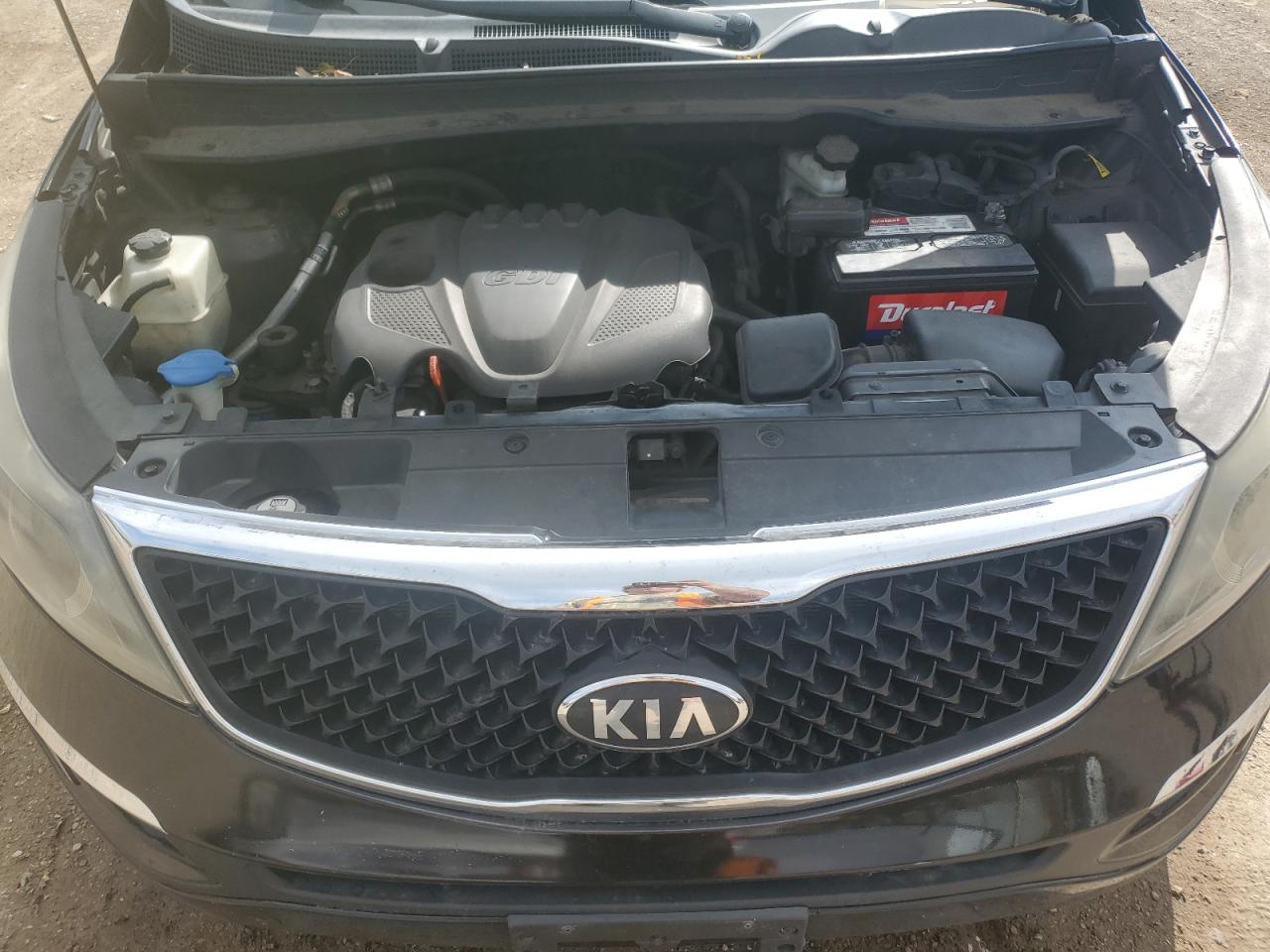 2014 Kia Sportage Ex VIN: KNDPCCAC7E7595766 Lot: 82066665