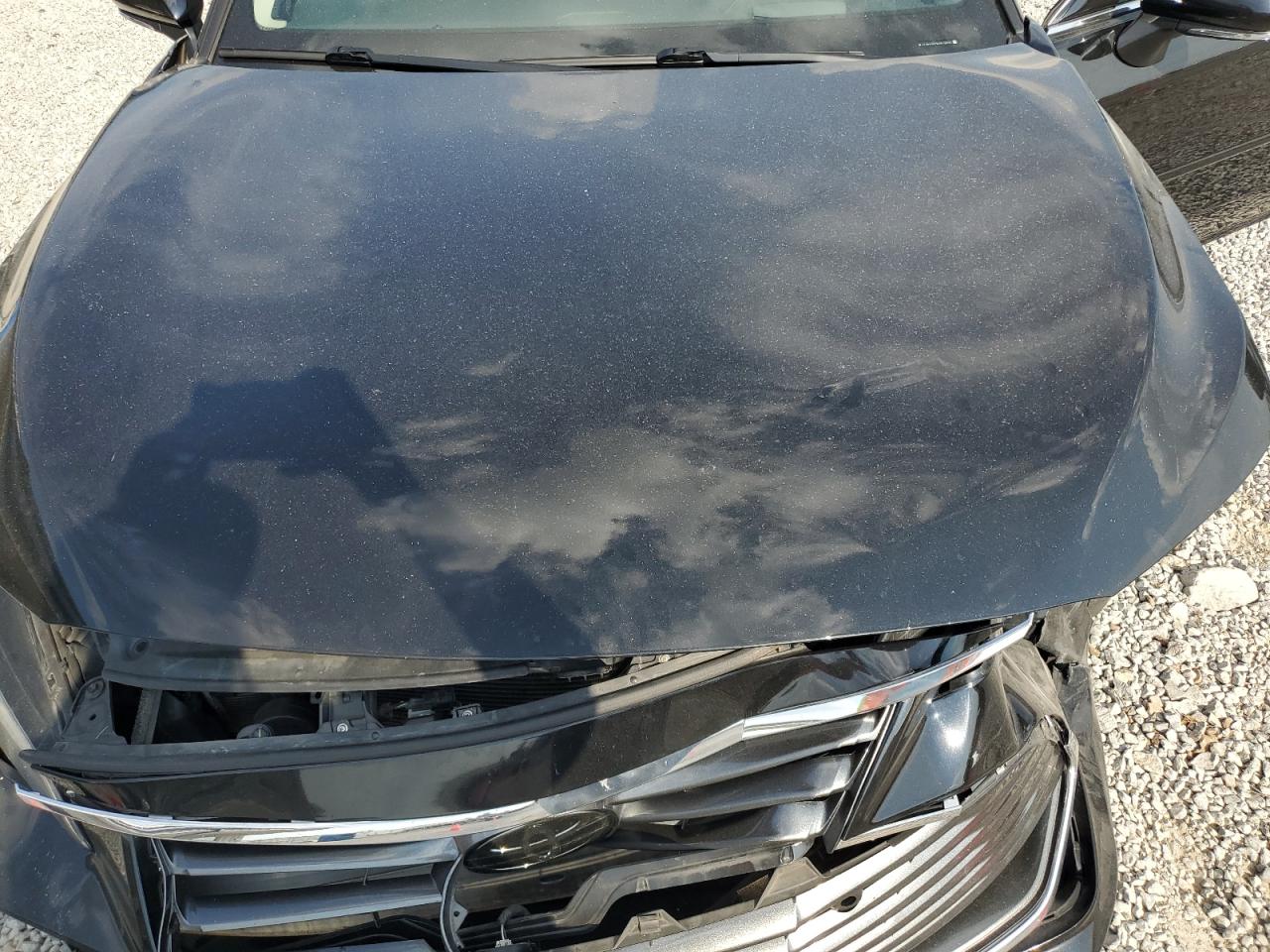 2019 Toyota Avalon Xle VIN: 4T1BZ1FB3KU018013 Lot: 81216755