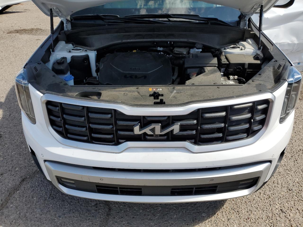 2024 Kia Telluride Sx VIN: 5XYP5DGC0RG524618 Lot: 81097905