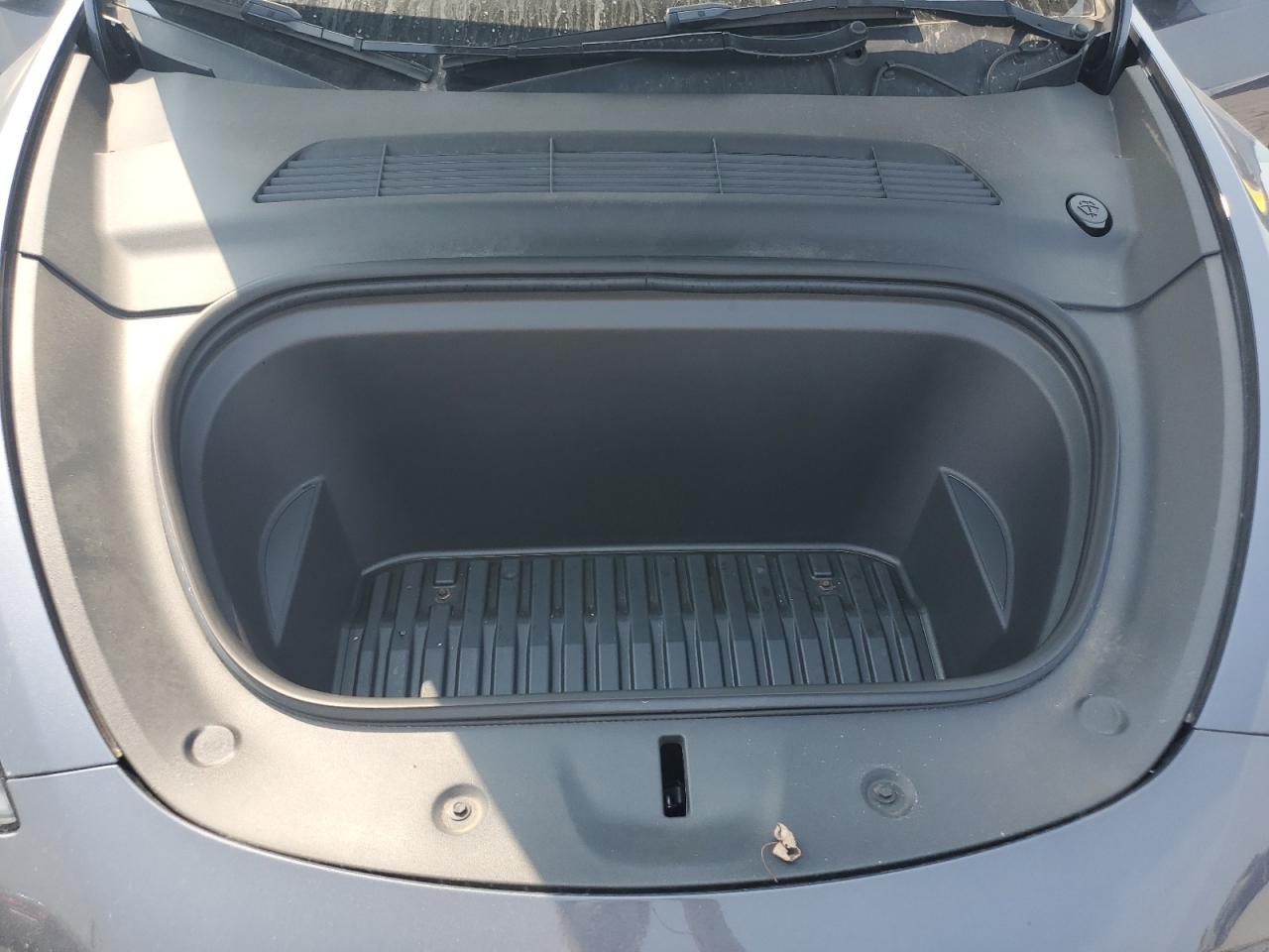 2023 Tesla Model Y VIN: 7SAYGDEE9PA163137 Lot: 71648535