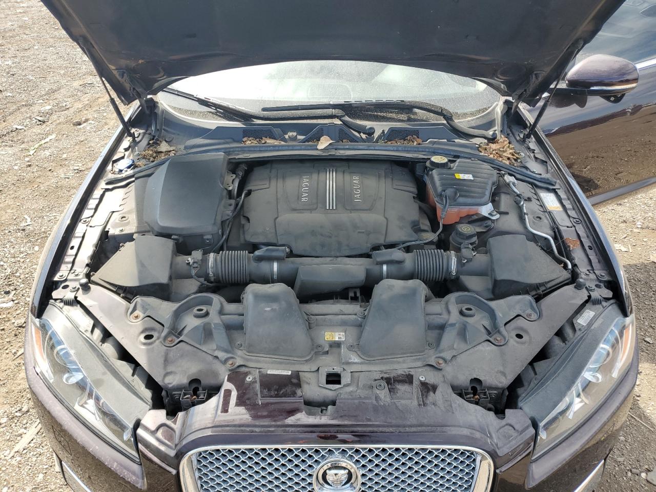 2012 Jaguar Xf Portfolio VIN: SAJWA0HB2CLS43312 Lot: 71286675