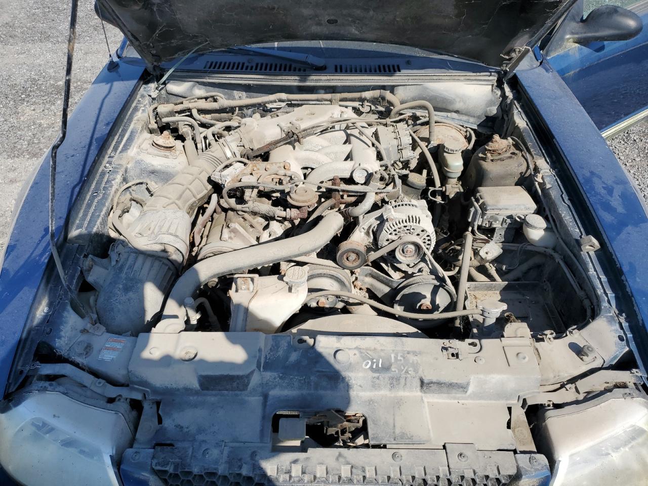 2000 Ford Mustang VIN: 1FAFP4046YF206163 Lot: 81810035