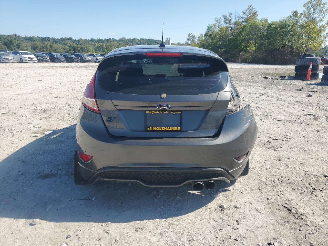 2019 Ford Fiesta St VIN: 3FADP4GX7KM141953 Lot: 81831265