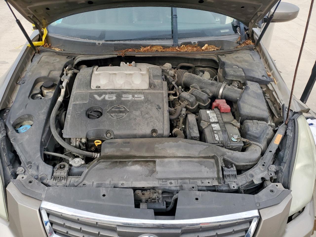 2008 Nissan Maxima Se VIN: 1N4BA41E98C838924 Lot: 71749285