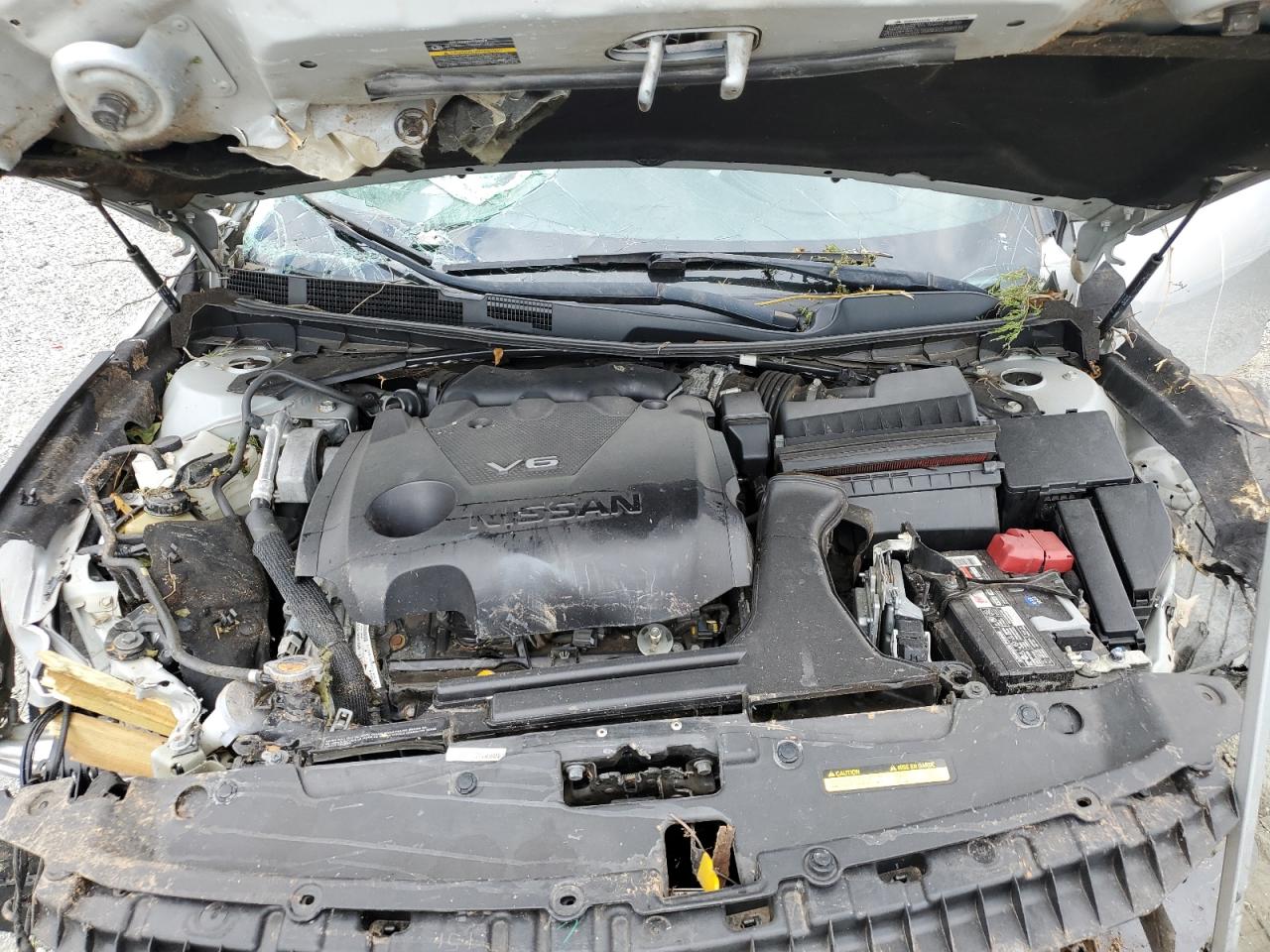 2019 Nissan Maxima S VIN: 1N4AA6AV7KC365071 Lot: 80313335