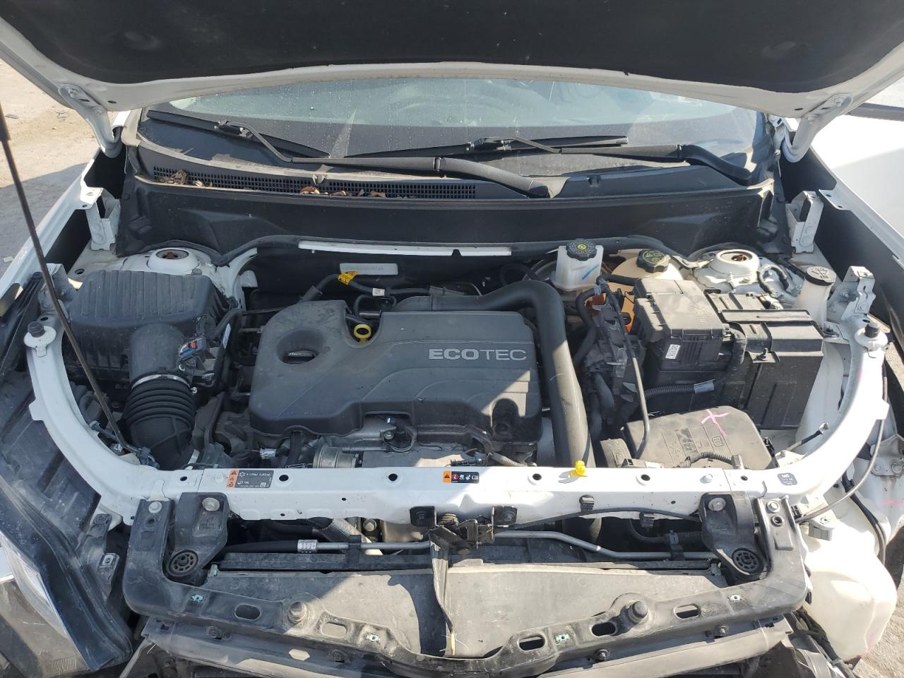 2021 Chevrolet Equinox Lt VIN: 3GNAXTEV1MS149013 Lot: 81084385