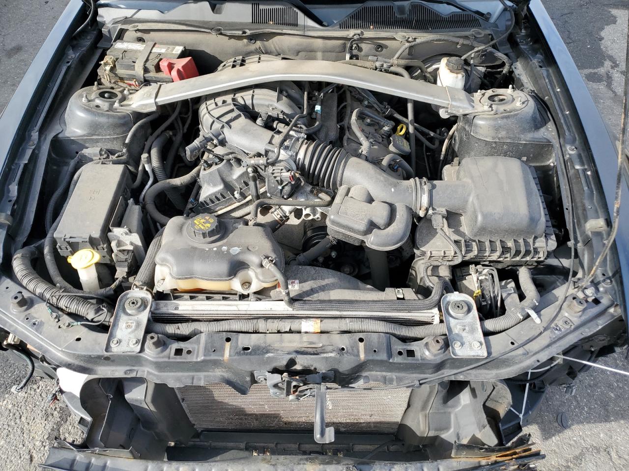 2012 Ford Mustang VIN: 1ZVBP8EM5C5238106 Lot: 80285785