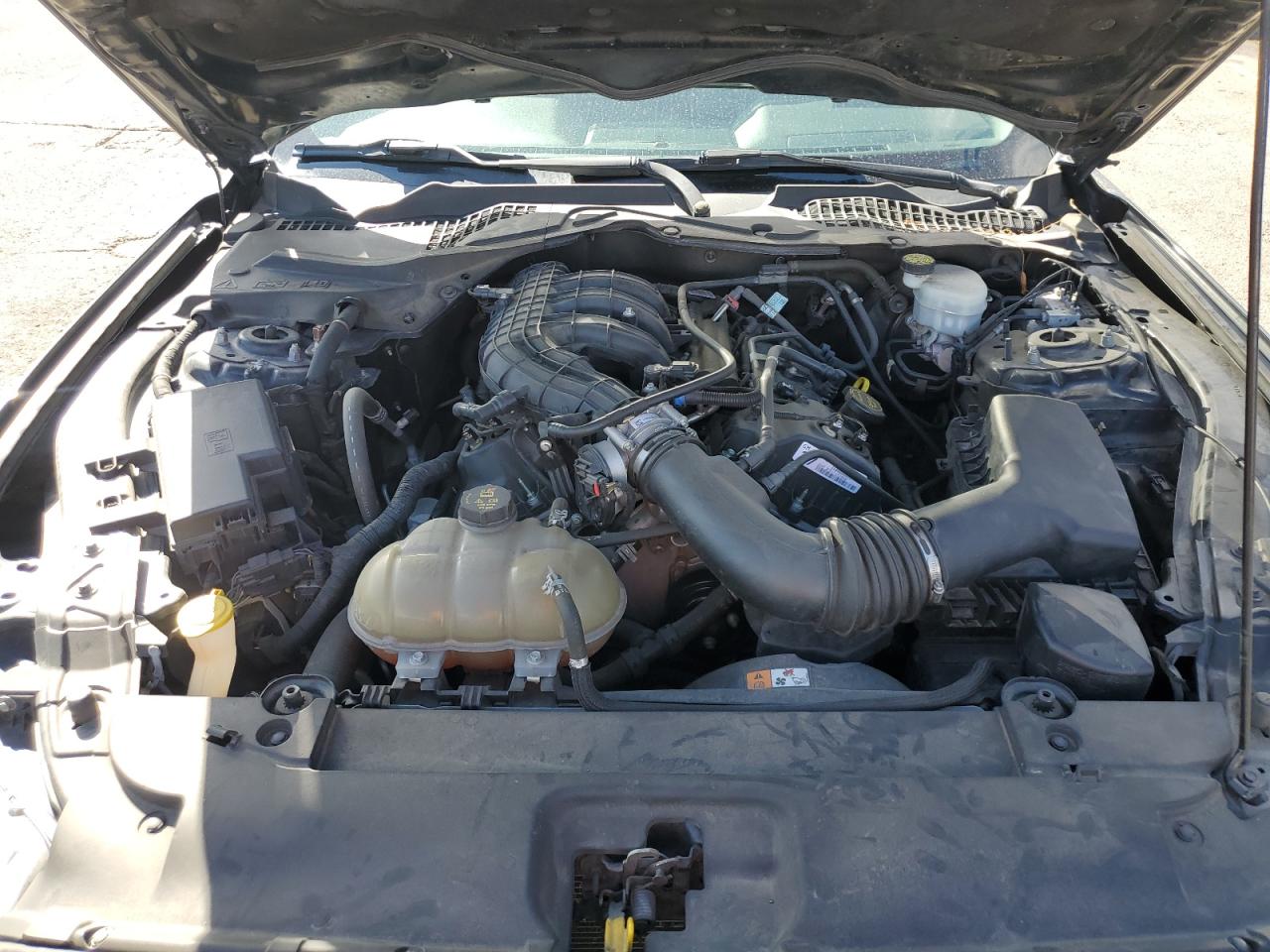 2017 Ford Mustang VIN: 1FA6P8AM7H5346153 Lot: 71863245