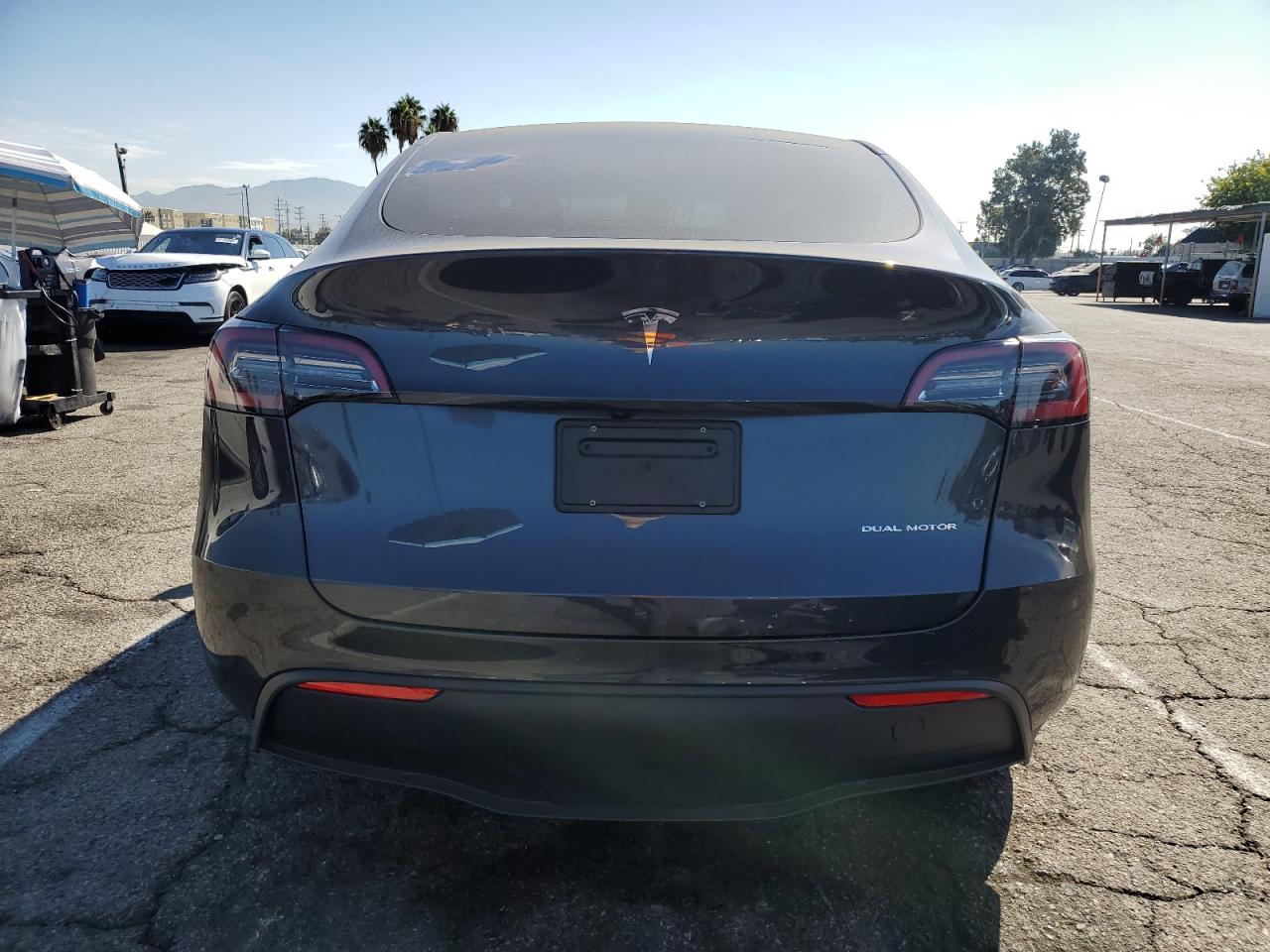 2024 Tesla Model Y VIN: 7SAYGDEE6RA250349 Lot: 80730895