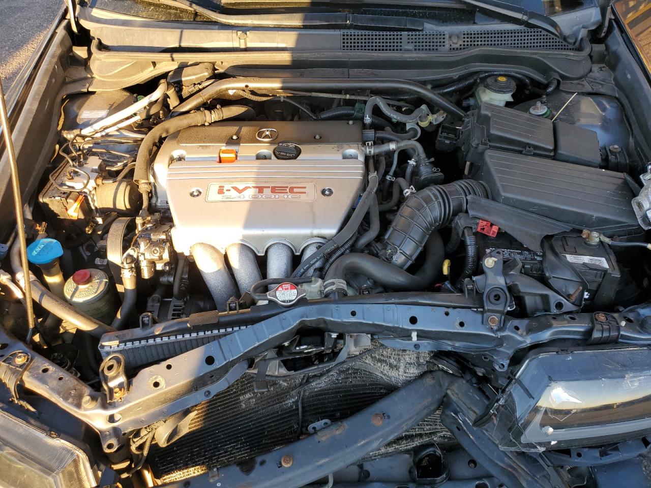 2004 Acura Tsx VIN: JH4CL96864C042858 Lot: 84019005