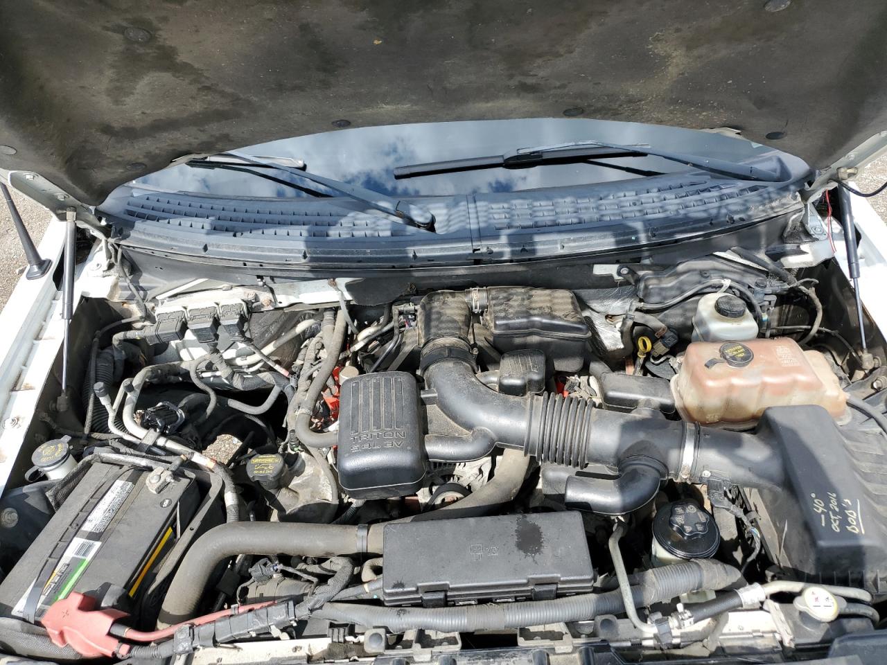 2010 Ford F150 Supercrew VIN: 1FTFW1EV2AKE23350 Lot: 87117895