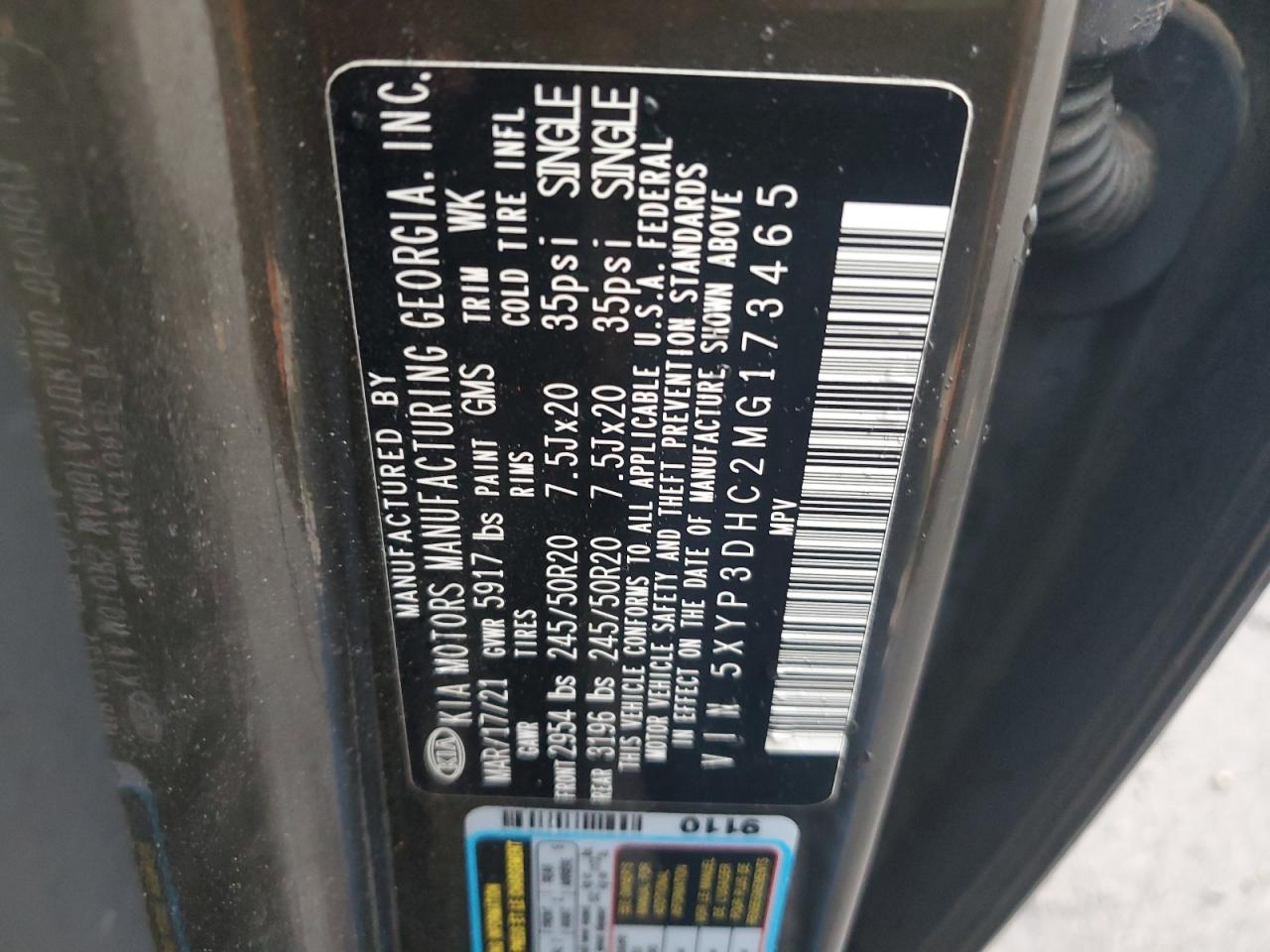 2021 Kia Telluride Ex VIN: 5XYP3DHC2MG173465 Lot: 81643995