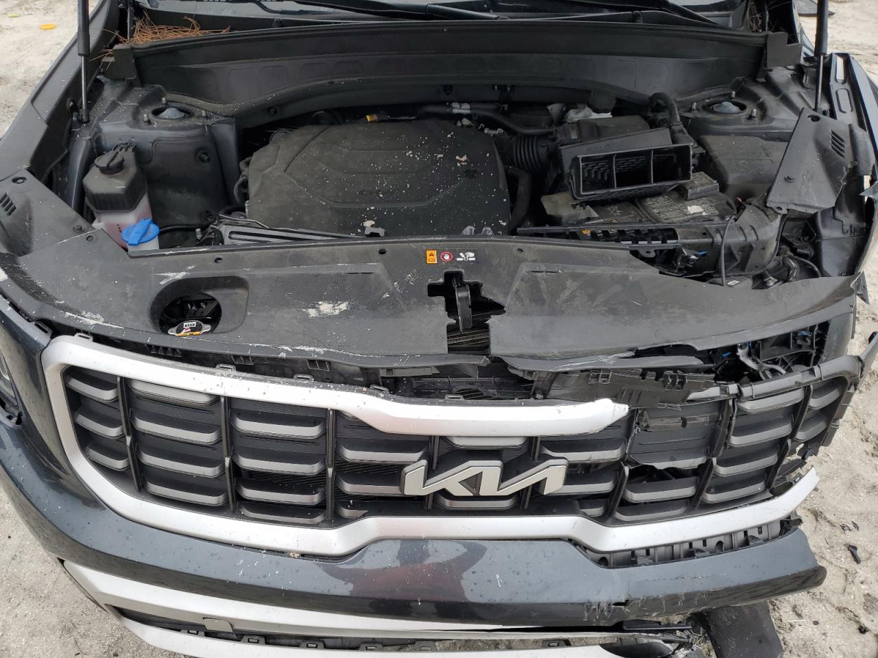 2024 Kia Telluride S VIN: 5XYP64GC5RG446933 Lot: 80941655