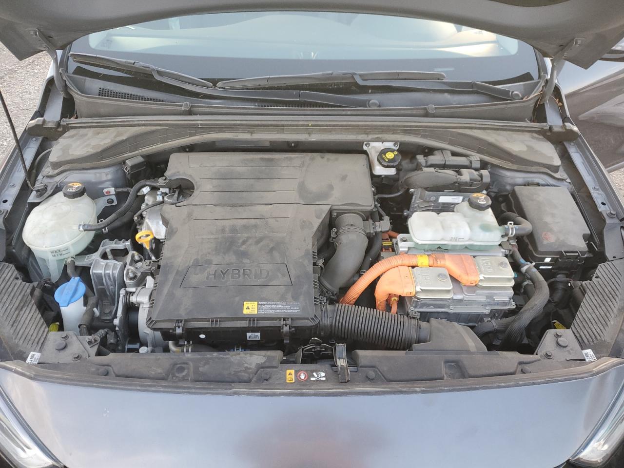 2019 Hyundai Ioniq Limited VIN: KMHC85LC3KU111139 Lot: 81516025