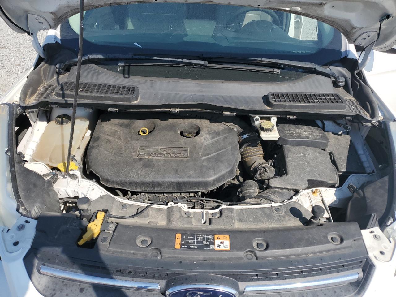 2014 Ford Escape Se VIN: 1FMCU0G91EUB78114 Lot: 80993185