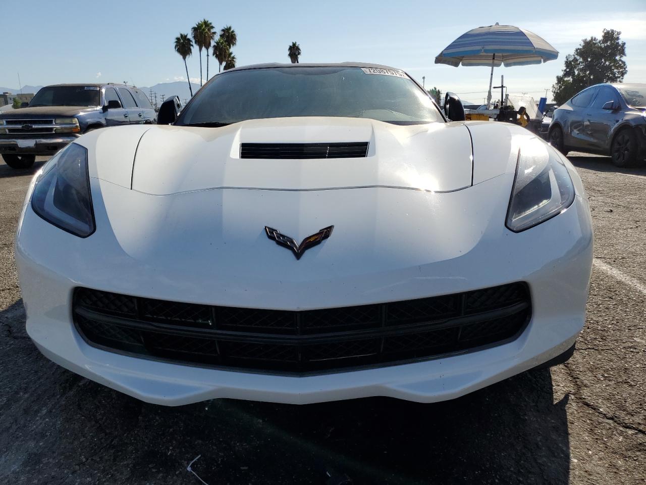 C7 C7