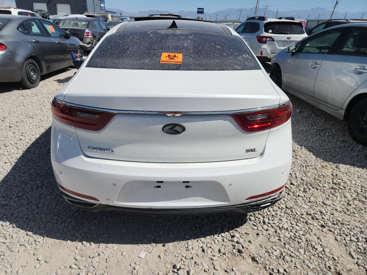 2017 Kia Cadenza Premium VIN: KNALC4J13H5079209 Lot: 81398915