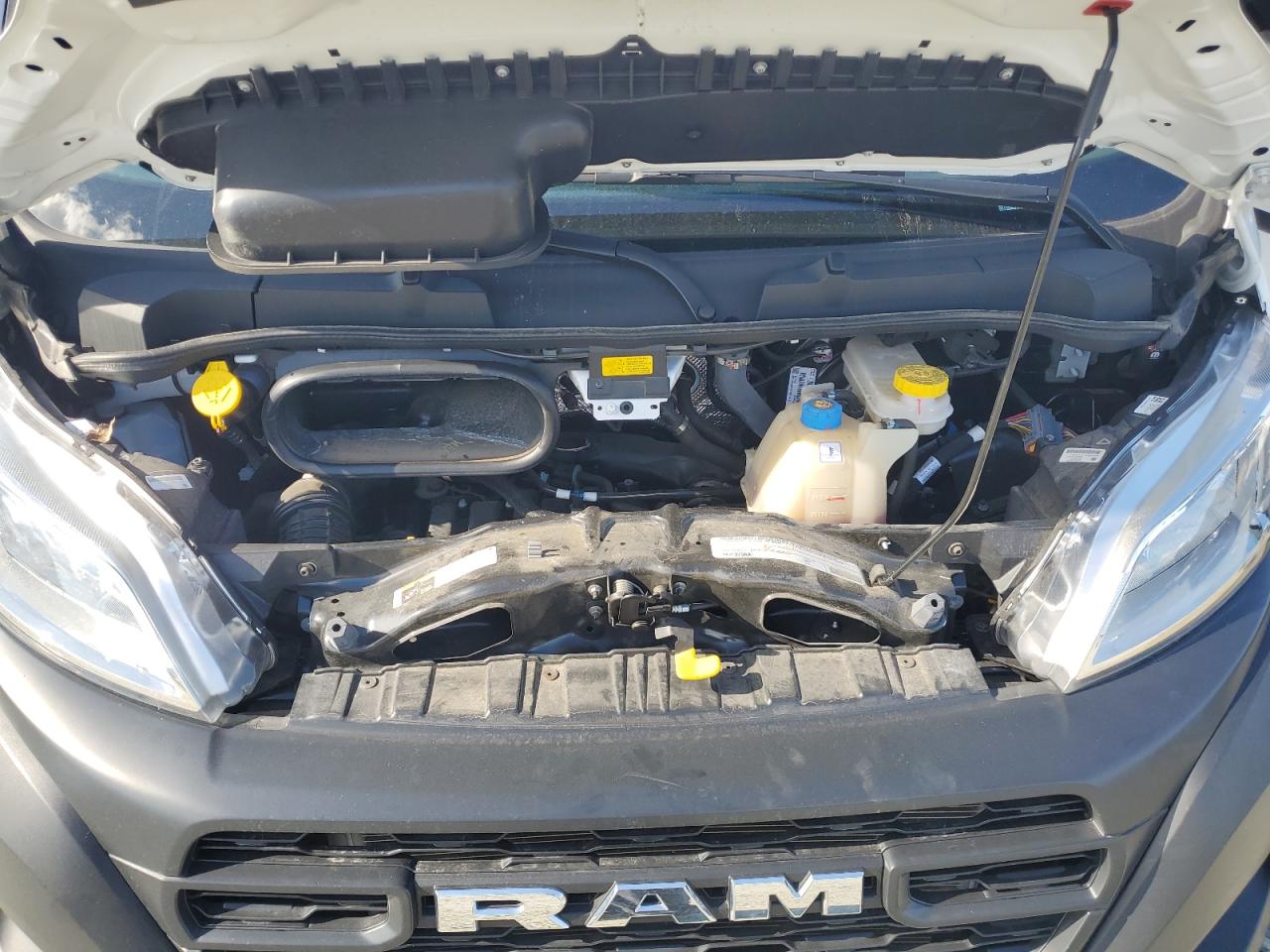 2024 Ram Promaster 2500 2500 Standard VIN: 3C6LRVVG1RE145968 Lot: 80797605