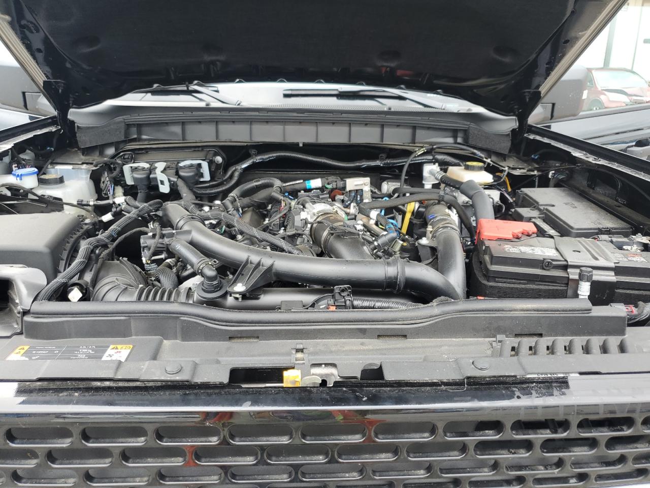 2024 Ford Bronco Wildtrak VIN: 1FMEE2BP6RLB52806 Lot: 84033345