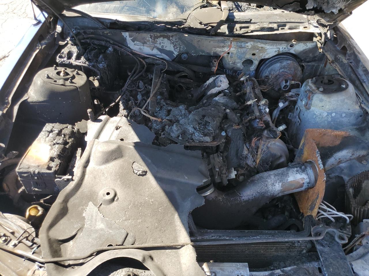 2007 Ford Mustang Gt VIN: 1ZVFT82H375225090 Lot: 81851045