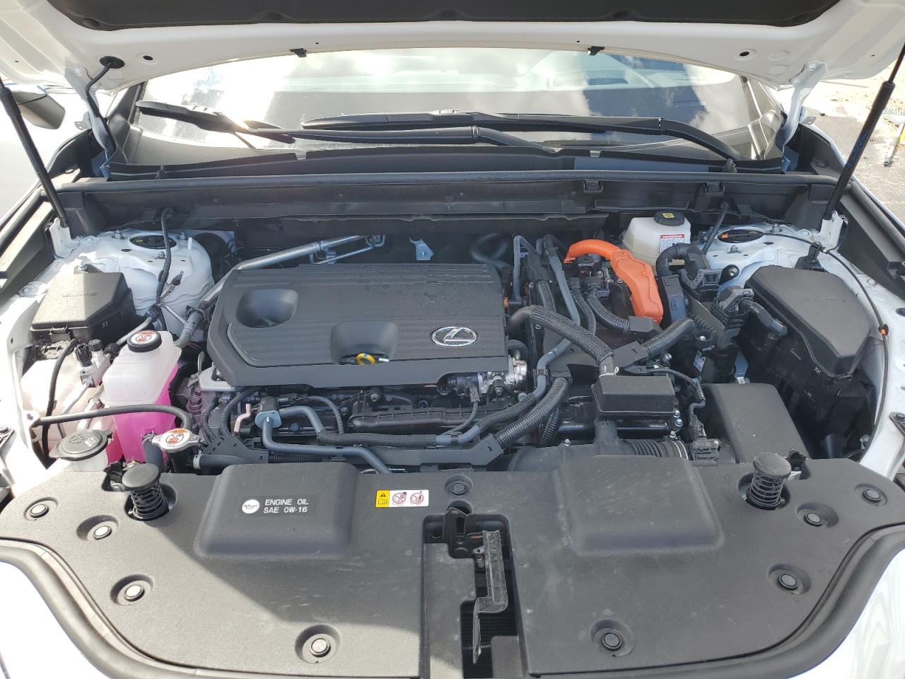 2025 Lexus Nx 350H Base VIN: JTJGKCEZ8S5035390 Lot: 81862165