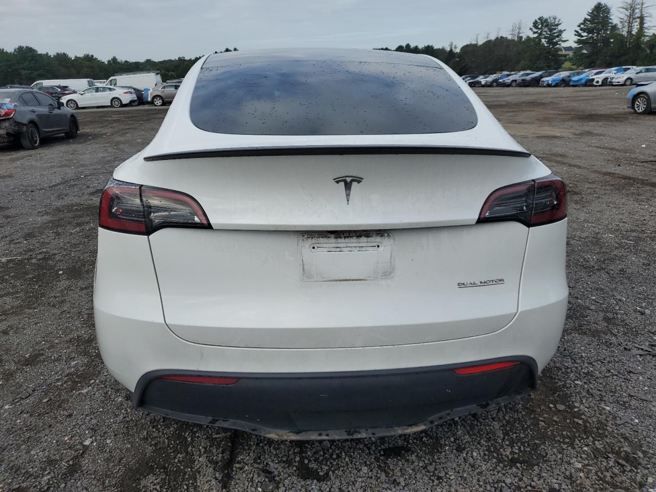 2023 Tesla Model Y VIN: 7SAYGDEF9PF897076 Lot: 71784135