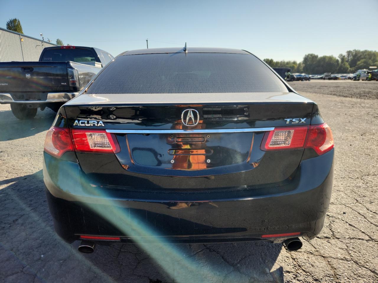 2011 Acura Tsx VIN: JH4CU2F61BC004096 Lot: 81108875