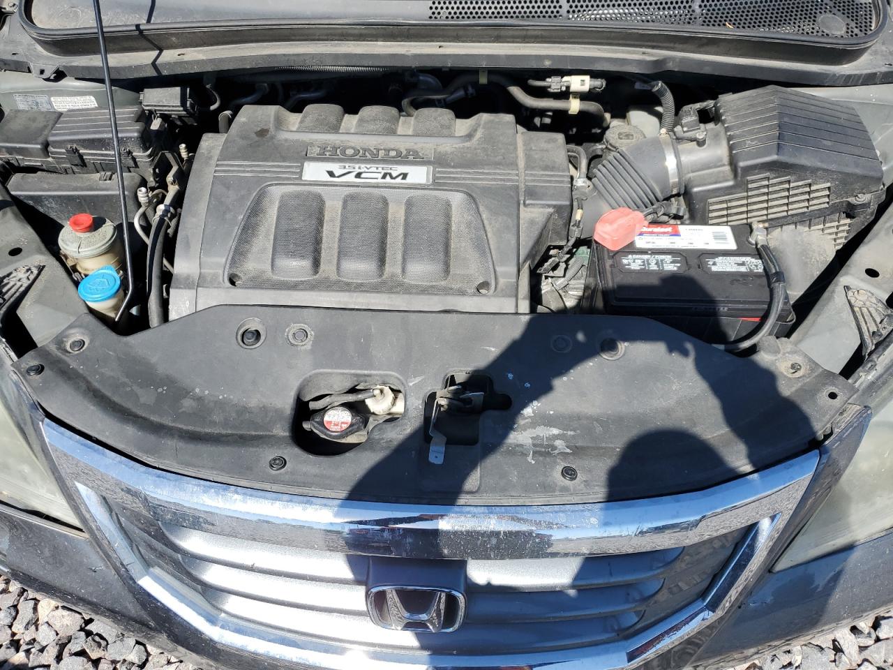 2010 Honda Odyssey Exl VIN: 5FNRL3H79AB099731 Lot: 81889755